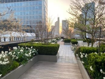 Plants overlooking City Scape