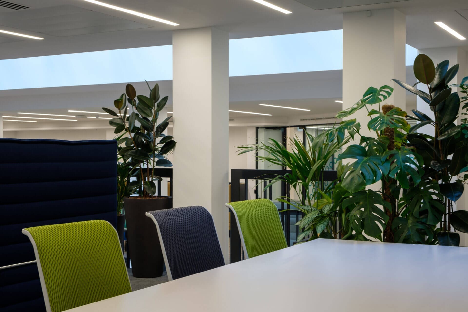 CBRE 13