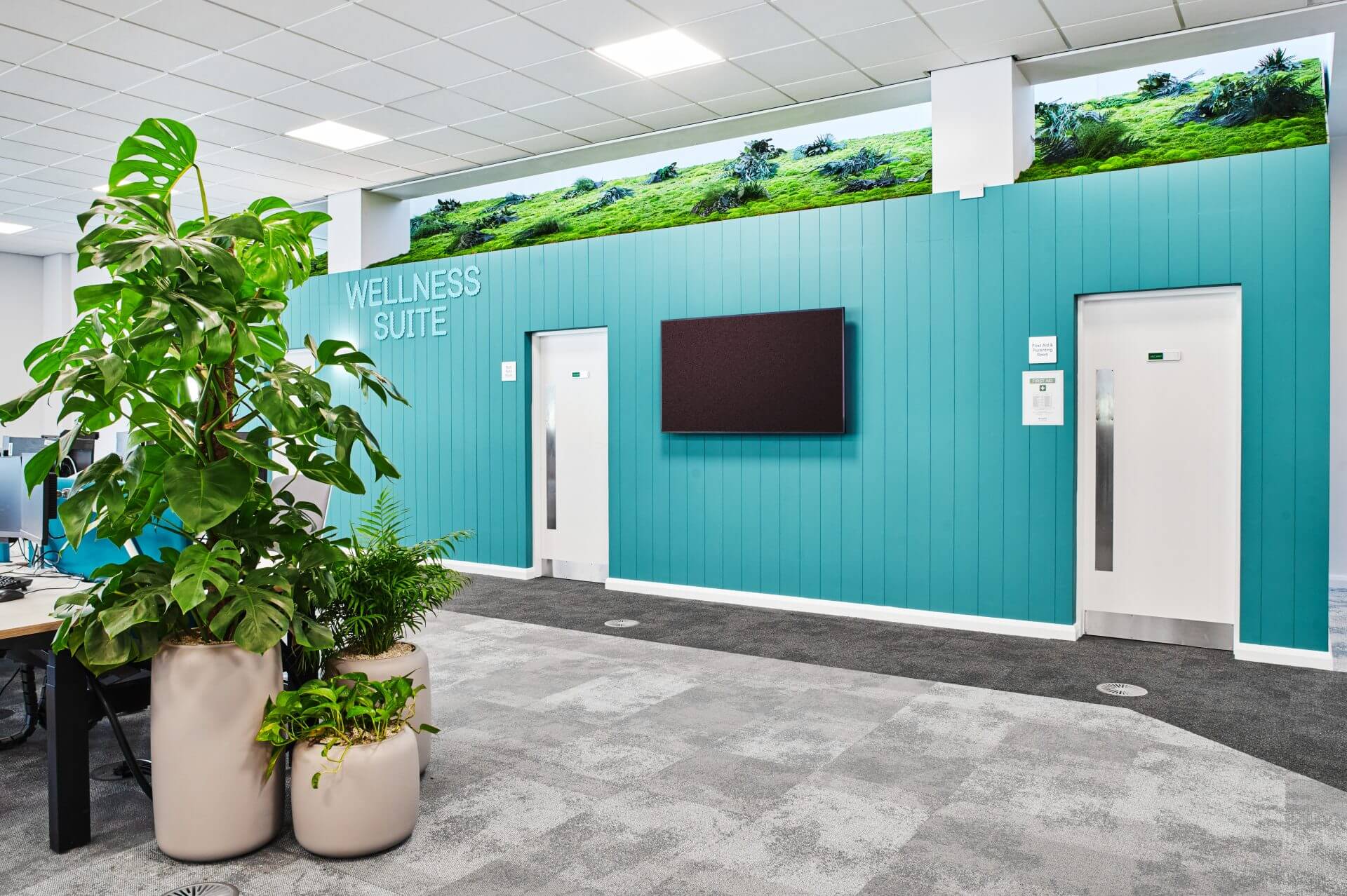 Planteria 27