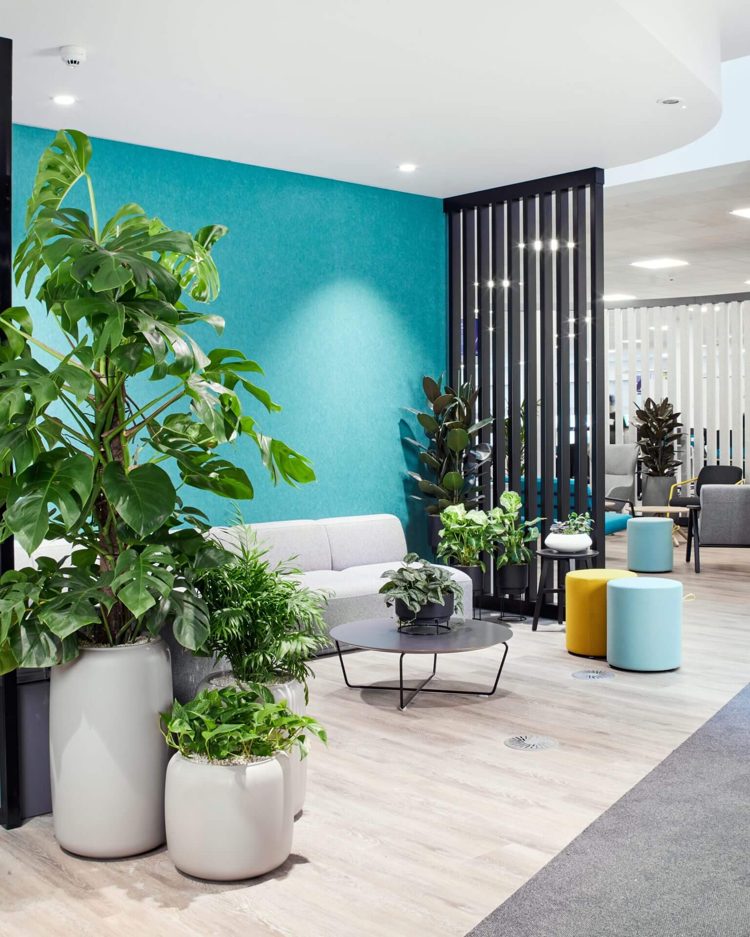Planteria 29
