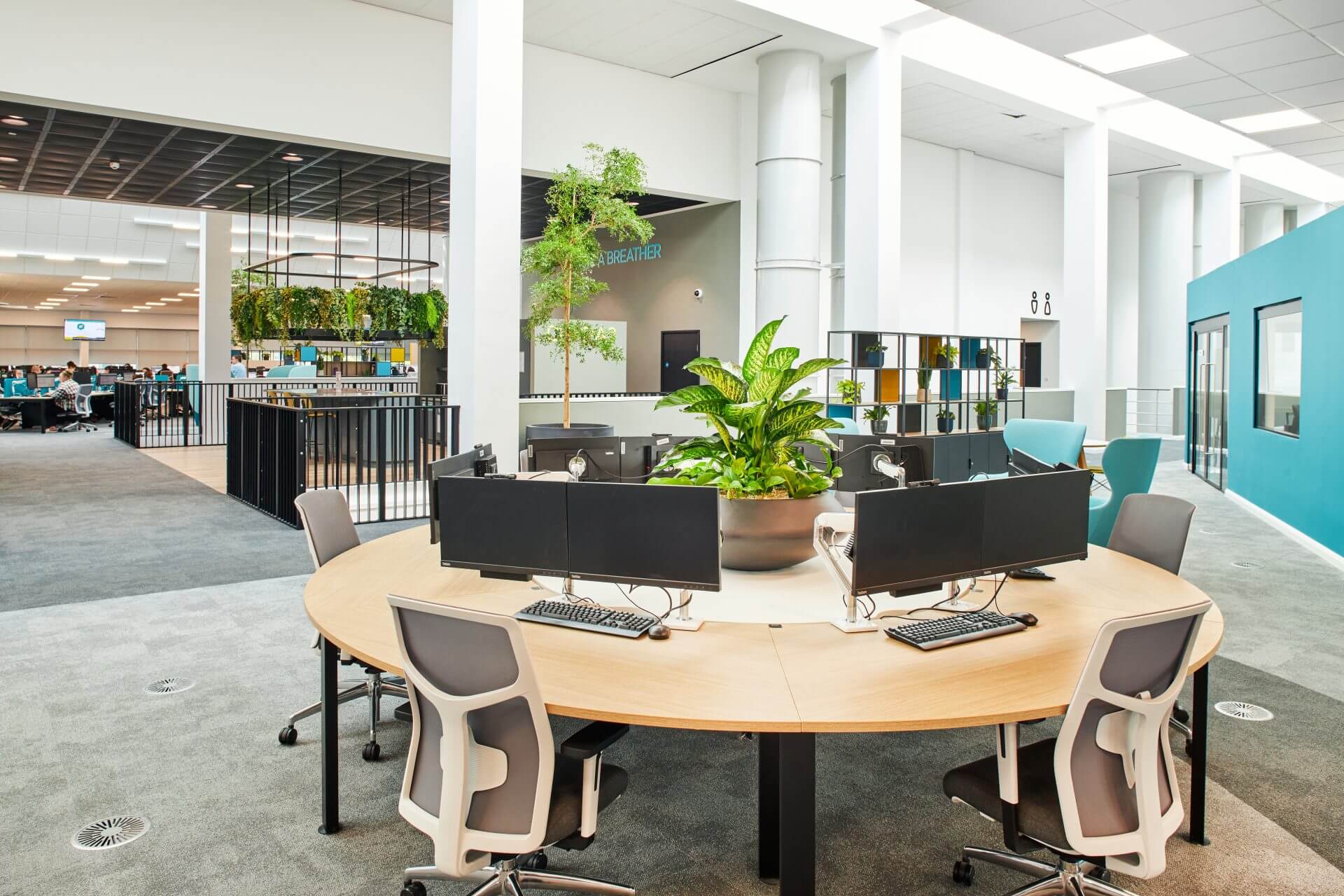 The circular desks feature table top planters. In the distance you can see the Bucida Buceras ‘Shady Lady’ tree and upstairs kitchenette.