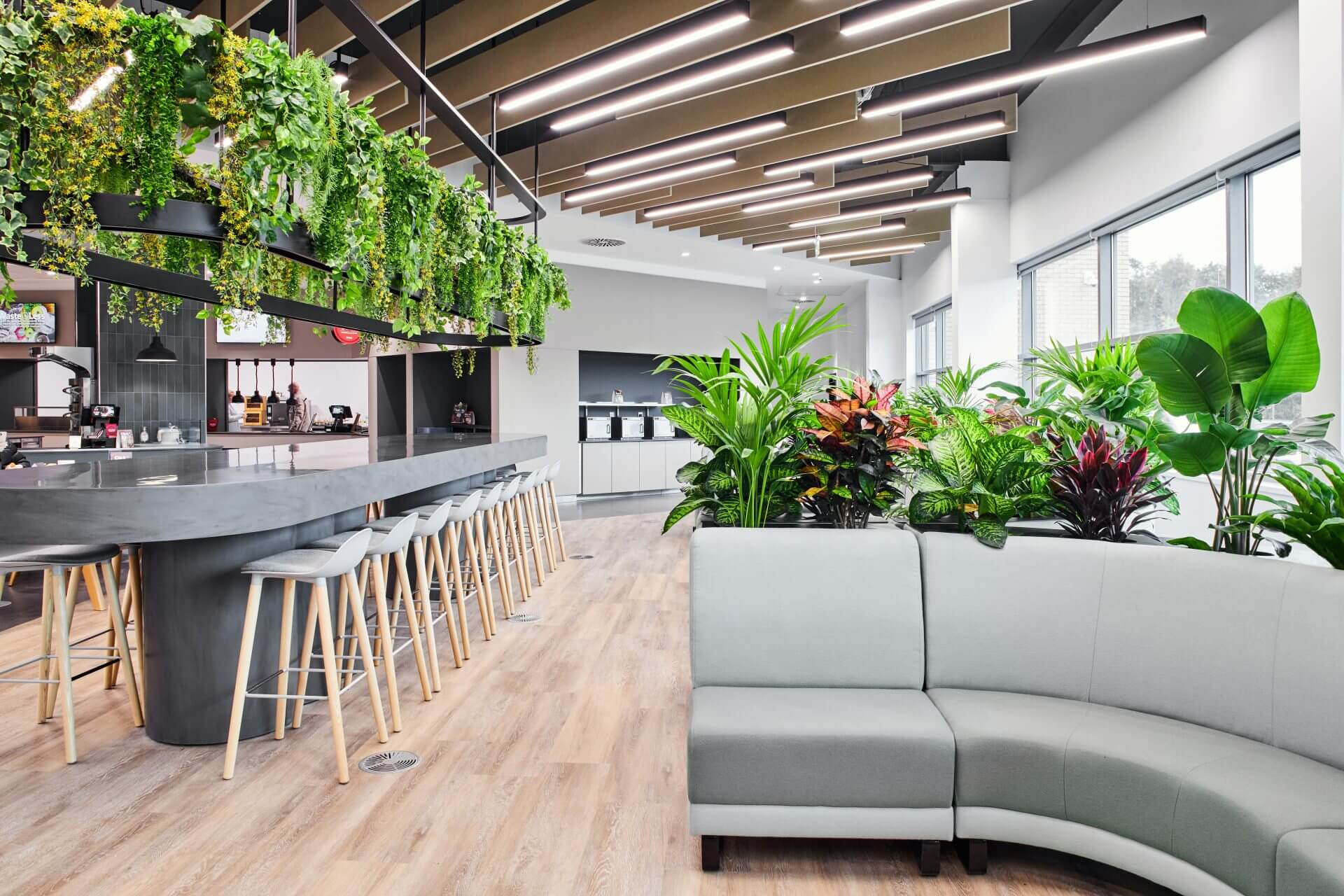 Planteria 39