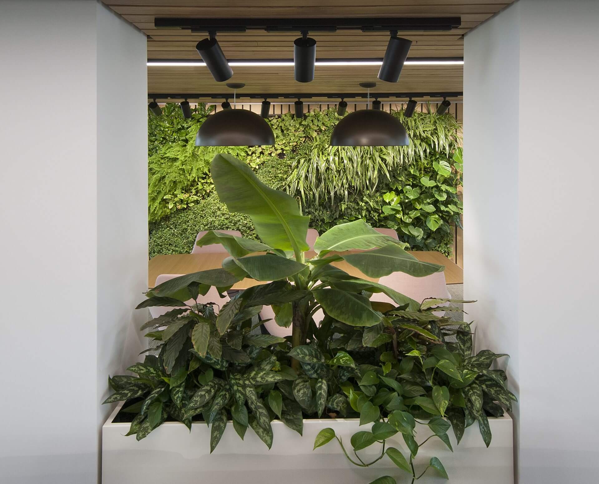 Image of the stunning biophilic design of JAB Holding Company's office, featuring natural elements such as plants, living walls, and high ceilings to create a tranquil and inviting atmosphere for employees.