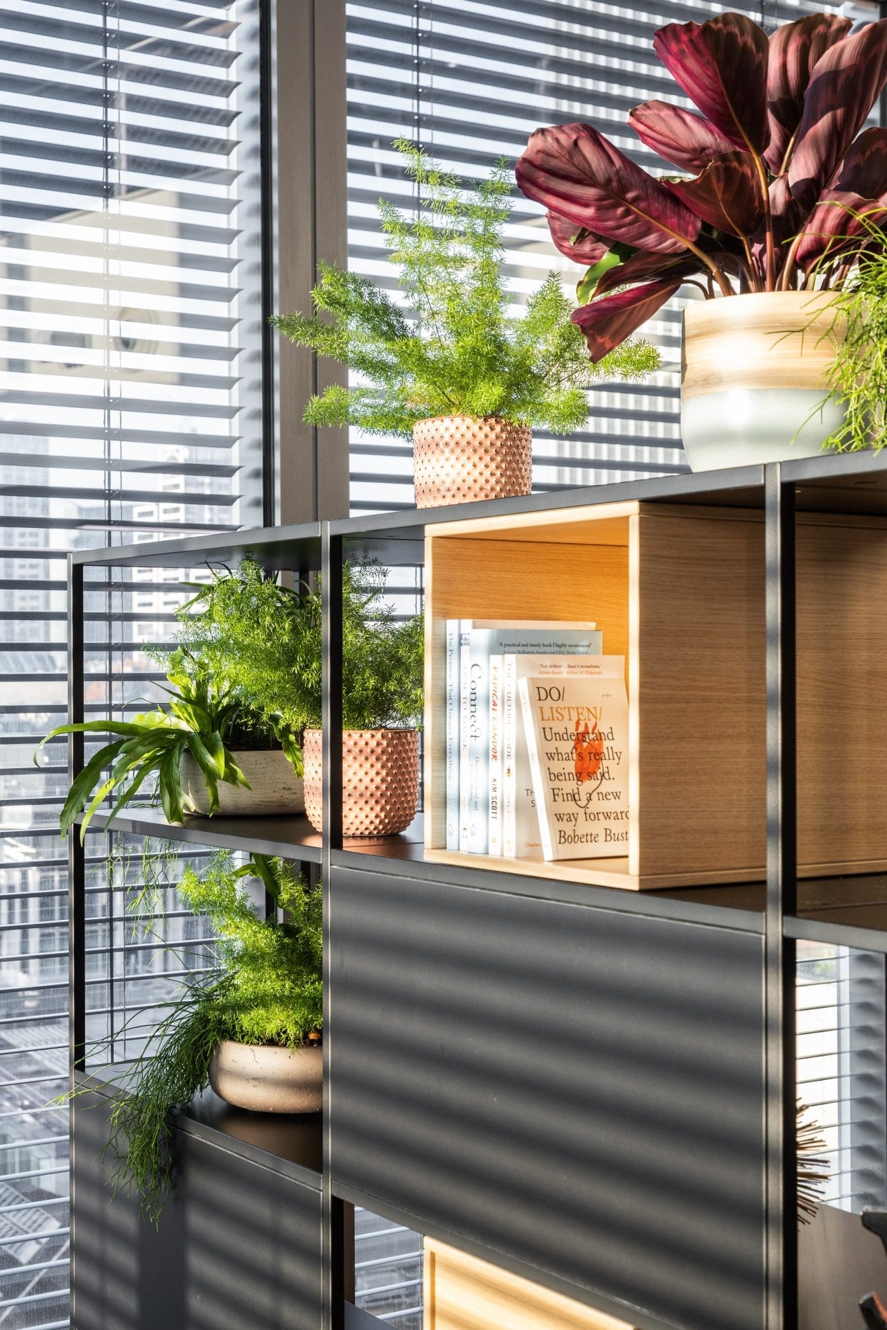 Planteria 29