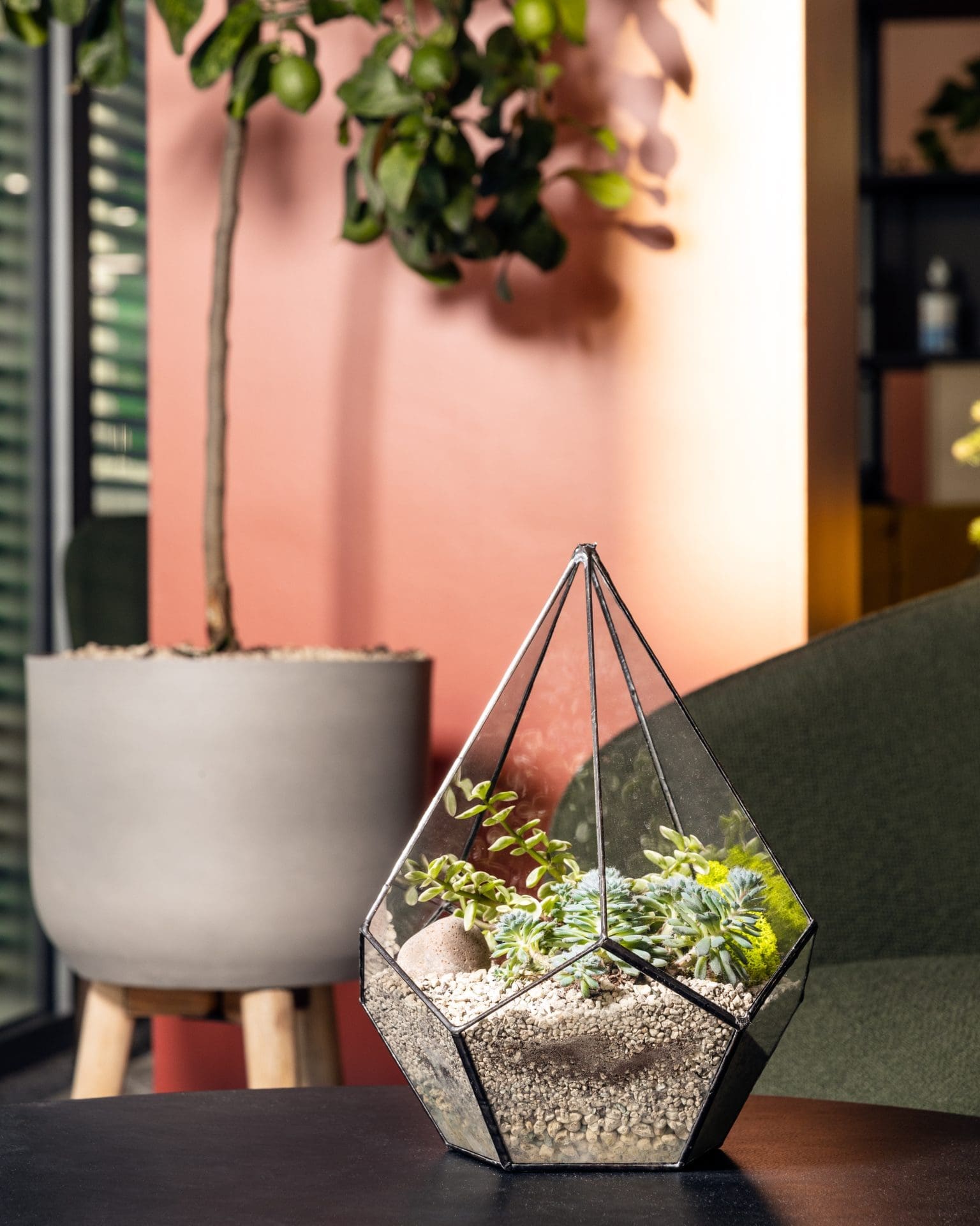 Planteria 30