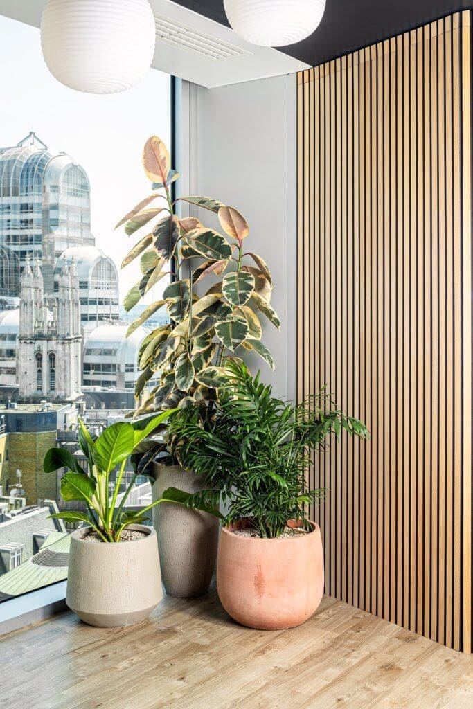 Planting and pots at Endava, London by Verdantia