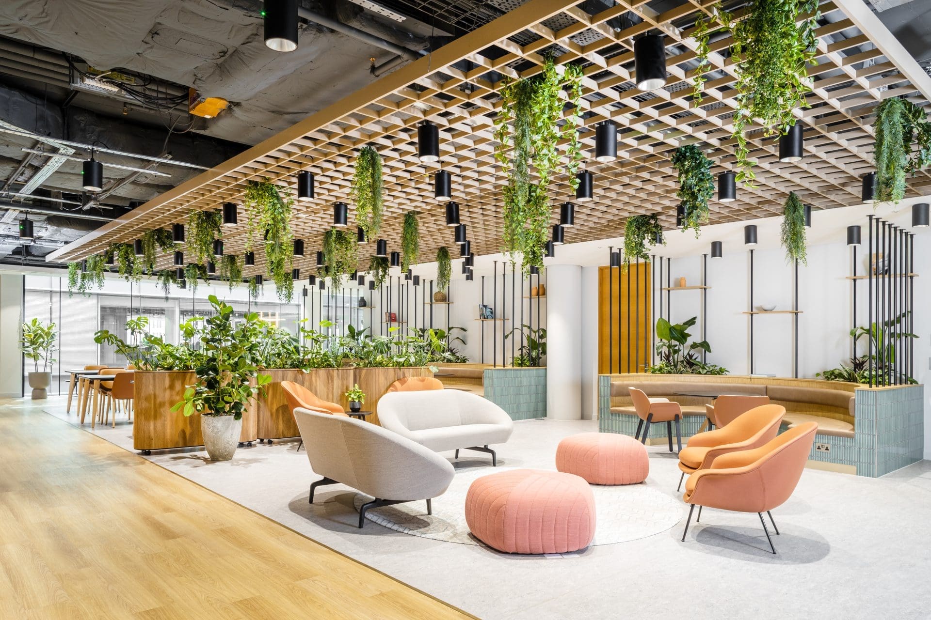 Hanging & trough planting at Experian, London