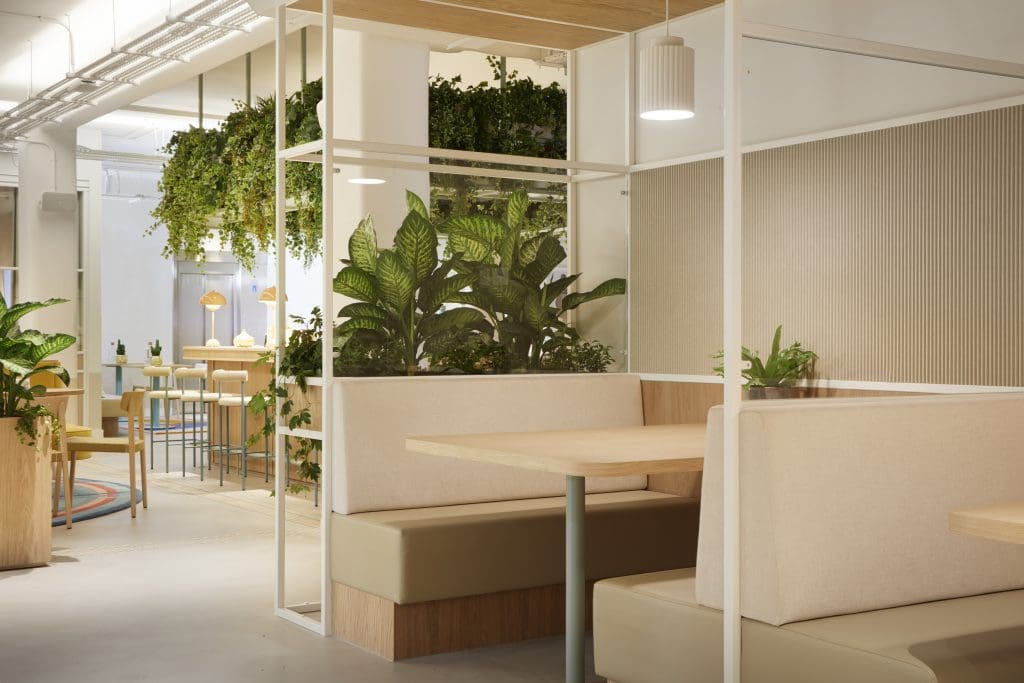 Office Plants